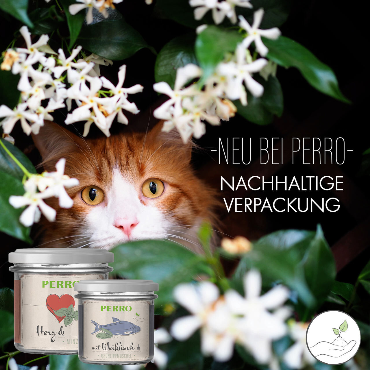 PERRO-Geniesser-Glas-Katzenfutter-Katze-mit-futter-59-83110