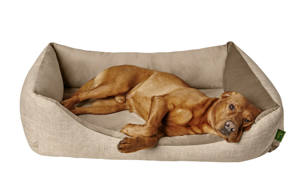 Hunter-Orthopaedisches-Hundesofa-Seattle-beige-Hunde-Schlafbett-H-69920 Hunter-Orthopaedisches-Hundesofa-Seattle-beige-Hunde-Schlafbett-H-69920