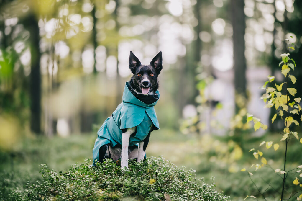 PAIKKA-Regenmantel-reflektierend-Visibility-Raincoat-Emerald-Hunderegenmantel-wasserdicht-60-46367