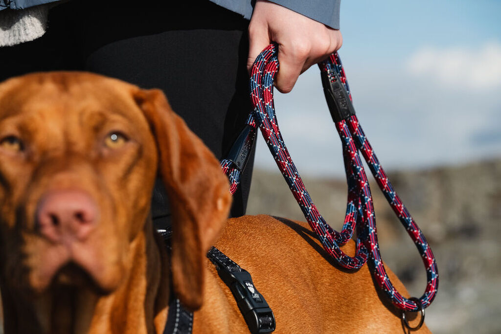 Hurtta-Casual-Retriever-Rope-Leash-Preiselbeere-Tauleine-HU-932914