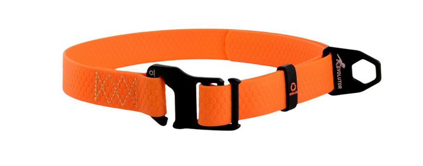 Collar-Evolutor-Halsband-hund-vegan-orange-schwarz-25-42431