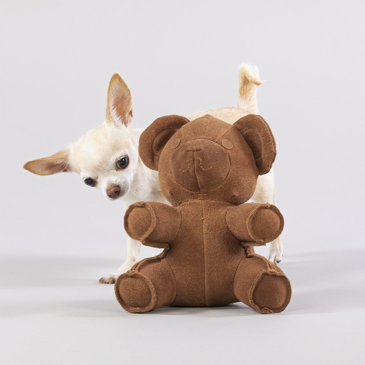 PAIKKA-Hundespielzeug-Teddy-Toy-Wildleder-Spielzeug-fuer-Hunde-60-46382