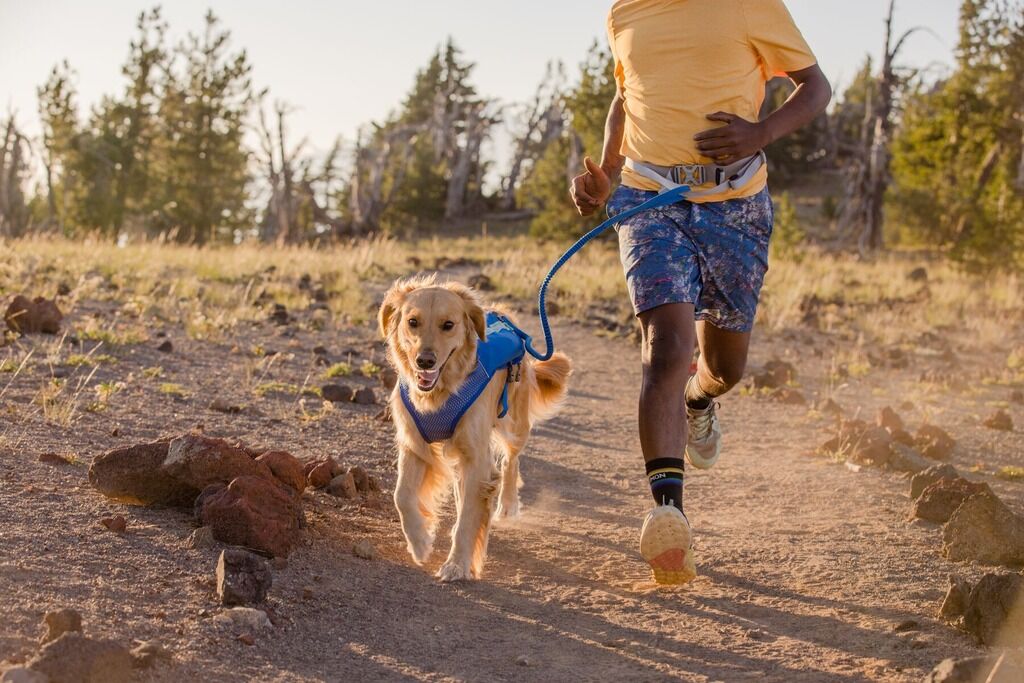 RUFFWEAR-Laufgurt-Trail-Runner-Canicrossguertel-Training-Hund-Blue-Pool-RU-14349