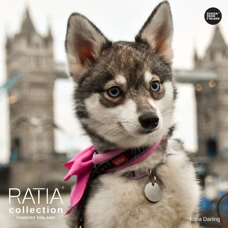 FinNero-RATIA-Zugstopp-Hunde-Halsband-Fleece-pink-bunt-farbig-44-79694