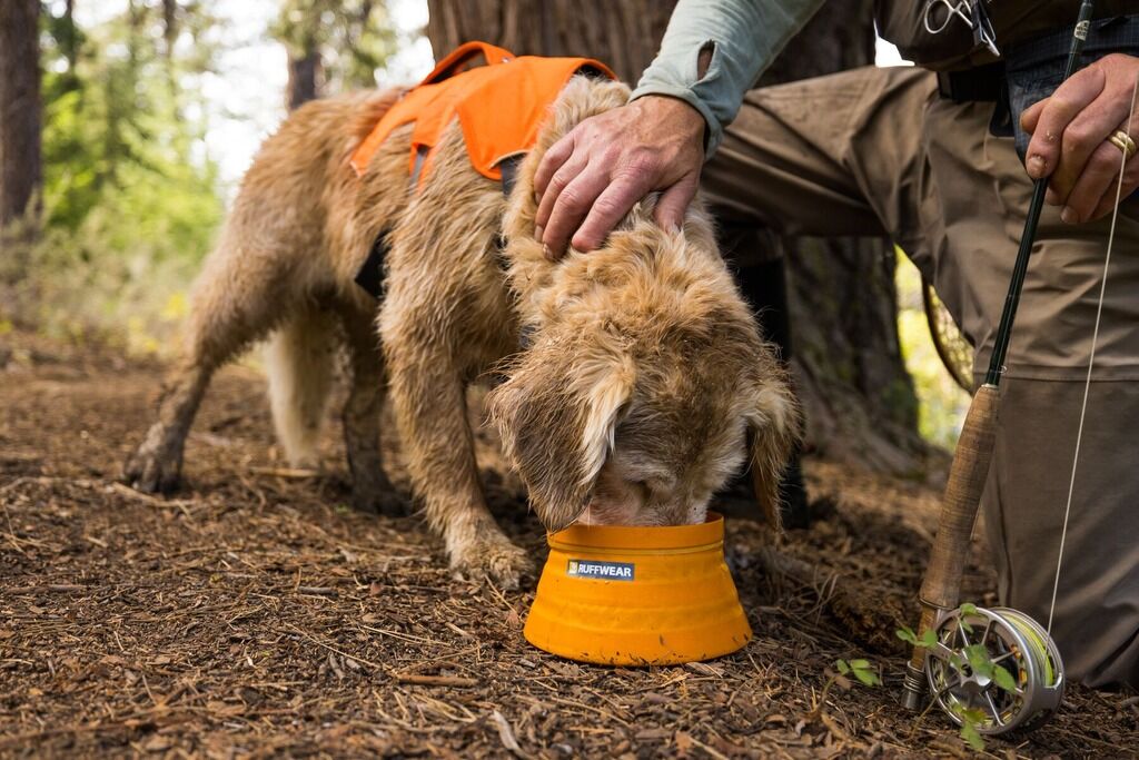 RUFFWEAR-Faltbarer-wasserdichter-Hundenapf-Bivy-Bowl-Futternapf-fuer-Hunde-Salamander-Orange-RU-69738