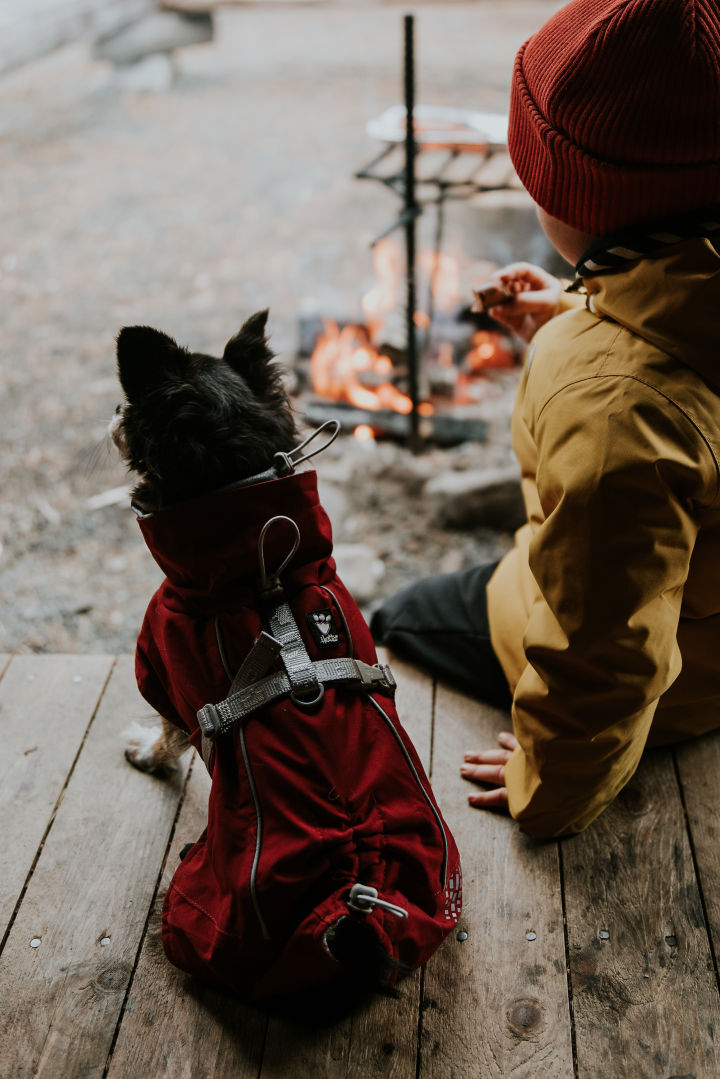 Hurtta-extra-warm-lingon-roetlich-herbst-fuer-hund-HU-933795 Hurtta-extra-warm-lingon-roetlich-herbst-fuer-hund-HU-933795