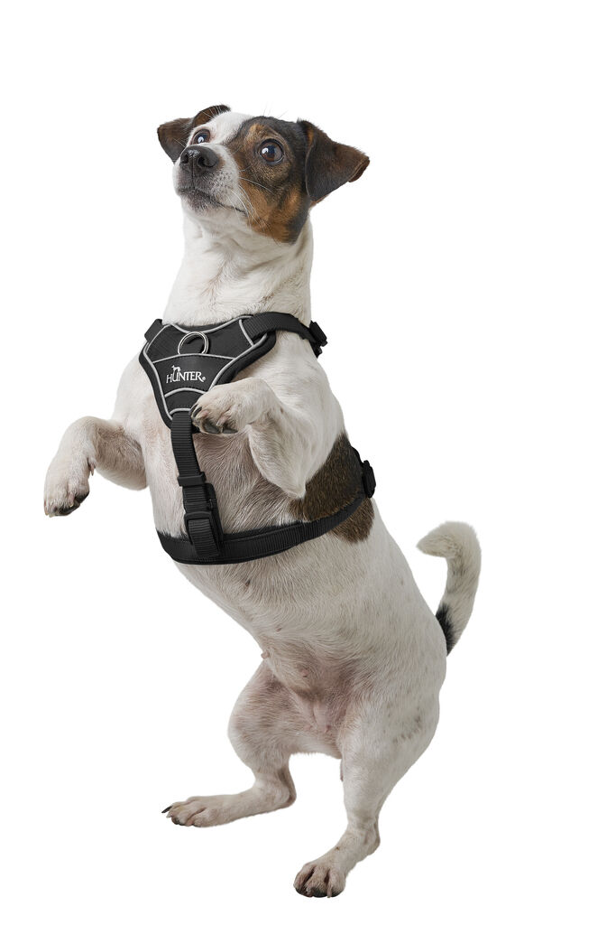 Hunter-Geschirr-Divo-Up-schwarz-gepolstertes-Brustgeschirr-fuer-Hunde-H-201771