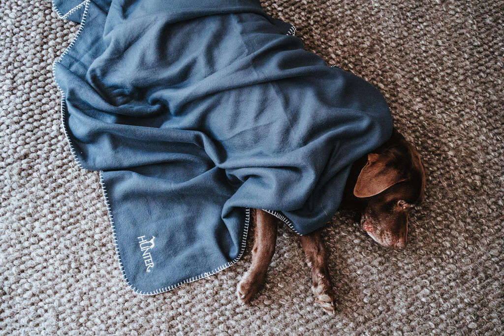 Hunter-Hundedecke-Casper-blau-Hunde-Autodecke-H-67705