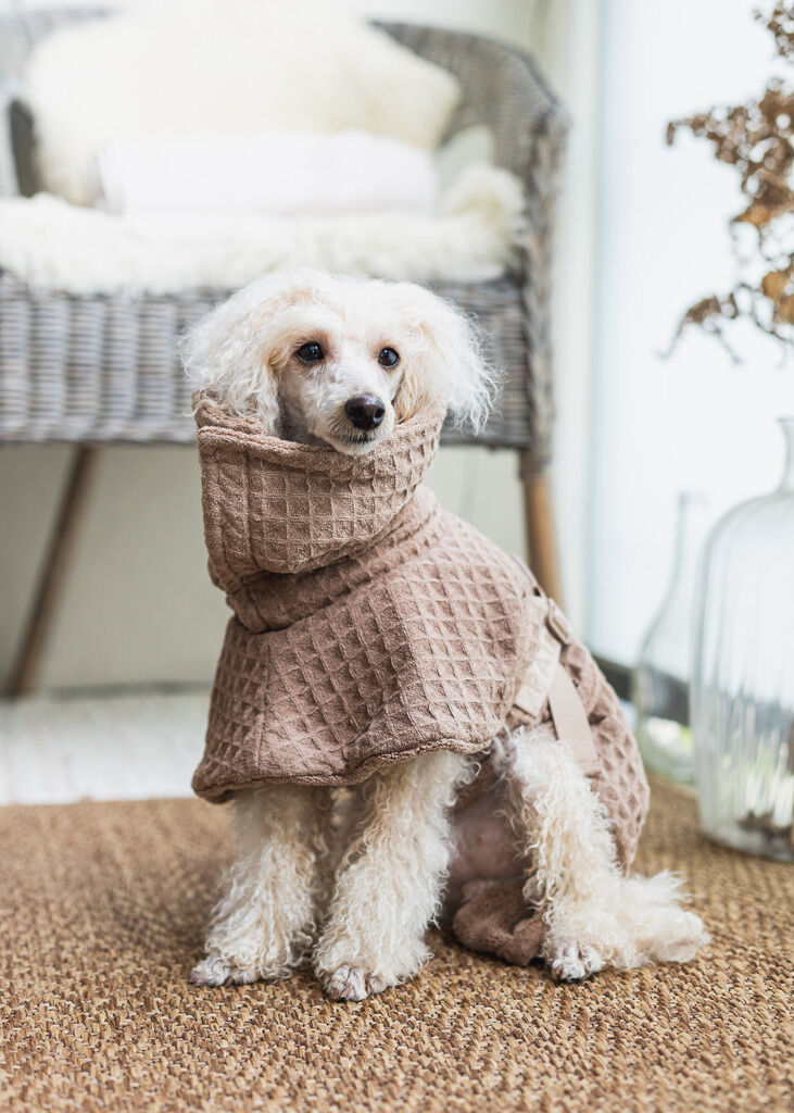 PAIKKA-Drying-Coat-Spa-Bademantel-Taupe-Trockenmantel-fuer-Hunde-60-46583 PAIKKA-Drying-Coat-Spa-Bademantel-Taupe-Trockenmantel-fuer-Hunde-60-46583