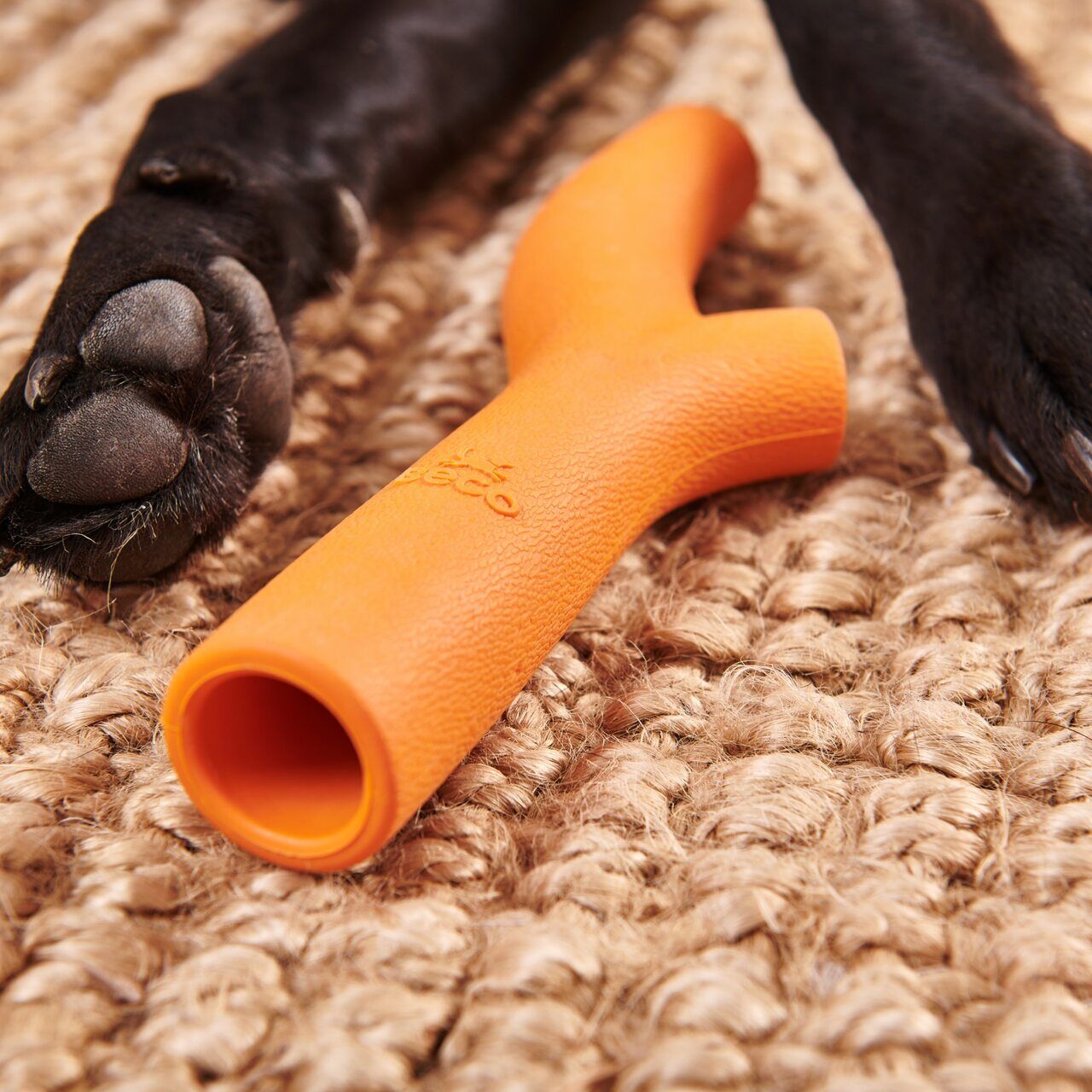Beco-Super-Stick-orange-aus-Naturkautschuk-liegt-auf-beigem-Teppich-zwischen-schwarzen-Hundebeinen-BT-75626