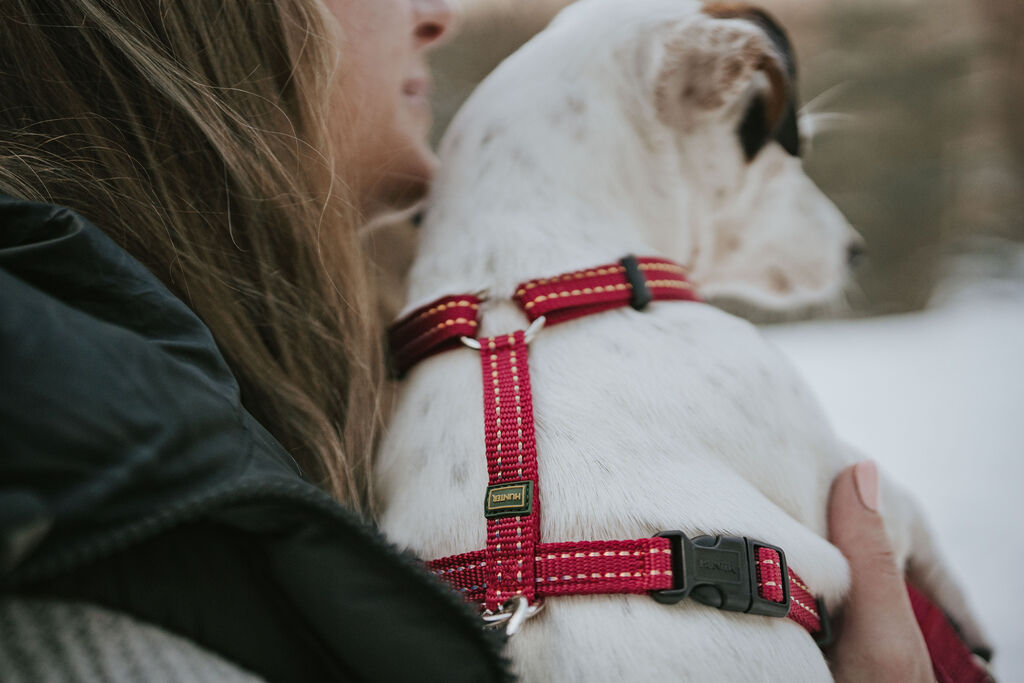 Hunter-Geschirr-Tripoli-reflektierend-himbeer-verstellbares-Hundegeschirr-H-67117 Hunter-Geschirr-Tripoli-reflektierend-himbeer-verstellbares-Hundegeschirr-H-67117