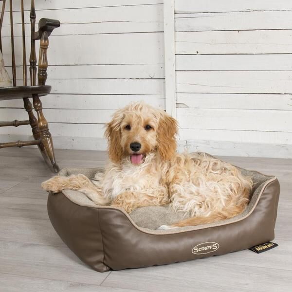 Scruffs-Chateau-Memory-Schaum-Box-Bett-latte-26-938505 Scruffs-Chateau-Memory-Schaum-Box-Bett-latte-26-938505