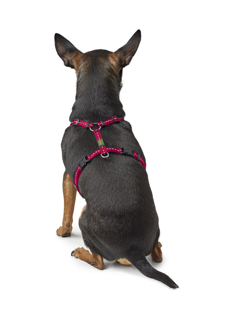 Hunter-Geschirr-Tripoli-reflektierend-himbeer-Wandergeschirr-fuer-kleine-Hunde-H-67117 Hunter-Geschirr-Tripoli-reflektierend-himbeer-Wandergeschirr-fuer-kleine-Hunde-H-67117