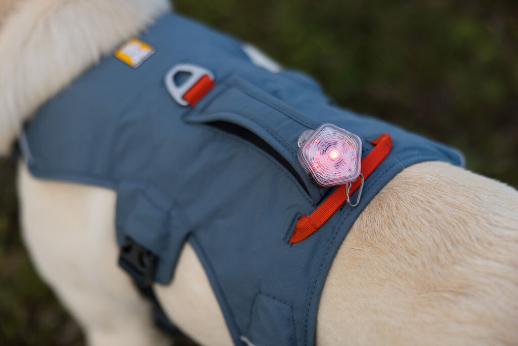 Ruffwear-Hundegeschirr-Web-Master-Harness-Slate-Blue-Trekkinggeschirr-fuer-Hunde-RU-02563 Ruffwear-Hundegeschirr-Web-Master-Harness-Slate-Blue-Trekkinggeschirr-fuer-Hunde-RU-02563