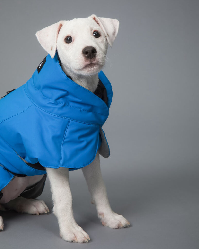 PAIKKA-Visibility-Winter-Jacke-Indigo-wasserabweisender-Hundemantel-60-46199 PAIKKA-Visibility-Winter-Jacke-Indigo-wasserabweisender-Hundemantel-60-46199