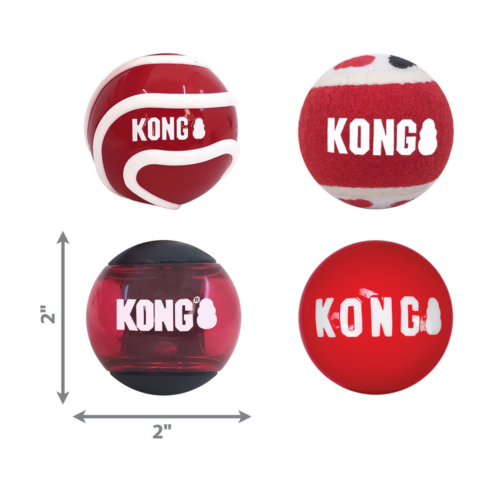 Kong-Signature-Hundebaelle-Hunde-Apportierspielzeug-small-56-52304