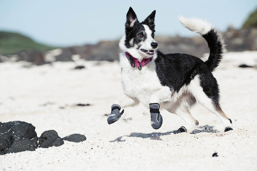 Hurtta-outback-boots-hundeschuhe-hund-HU-932119 Hurtta-outback-boots-hundeschuhe-hund-HU-932119
