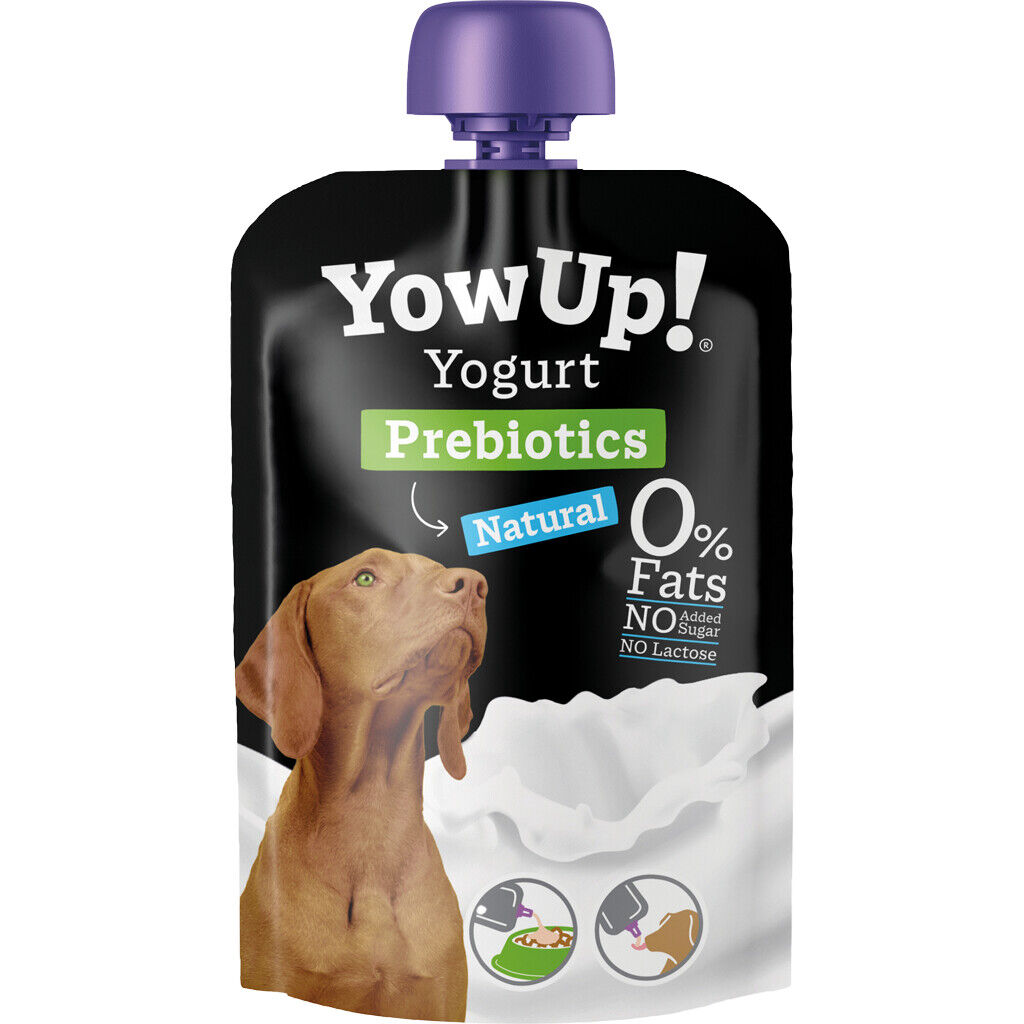 YowUp! yoghurt dog