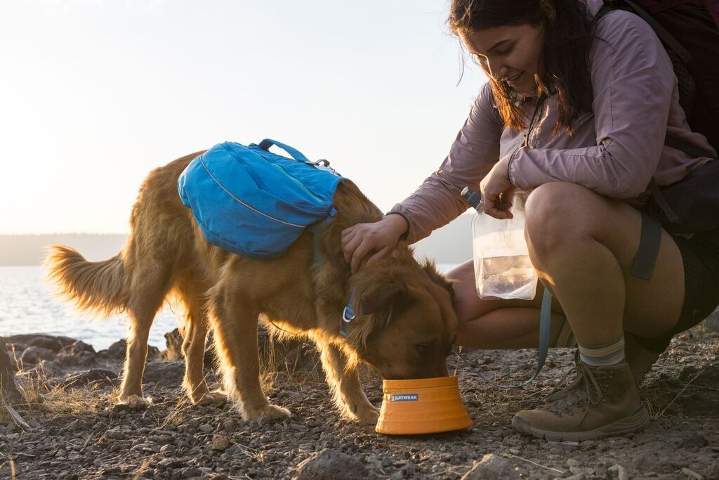 RUFFWEAR-Faltbarer-wasserdichter-Hundenapf-Bivy-Bowl-reflektierender-Trinknapf-Salamander-Orange-RU-69738