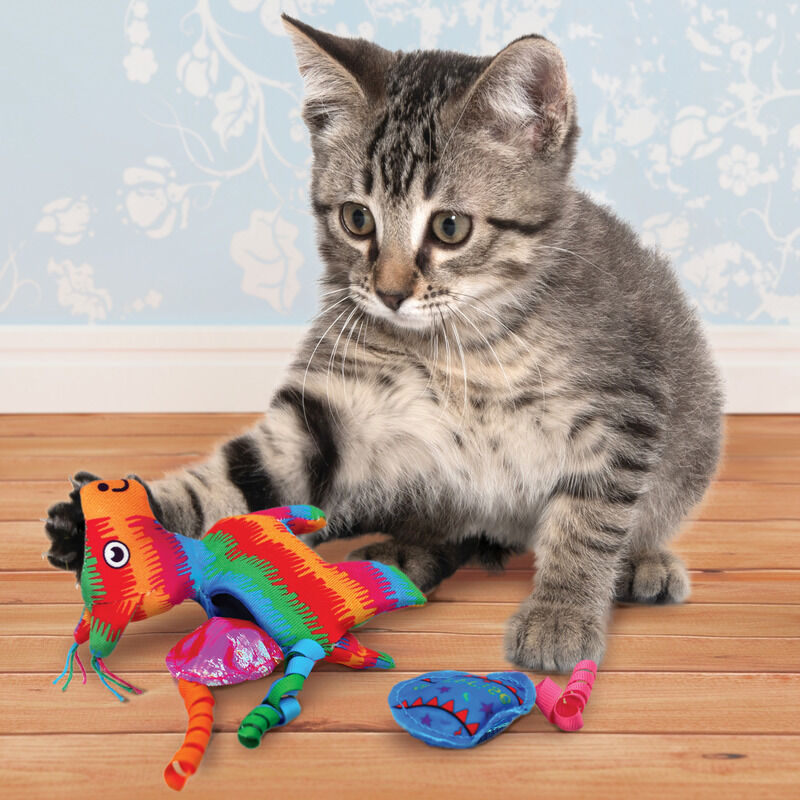 KONG-Katzenspielzeug-Pull-A-Partz-Pinata-Esel-regenbogenfarben-wird-von-junger-graugetigerter-Katze-bespielt-56-45940