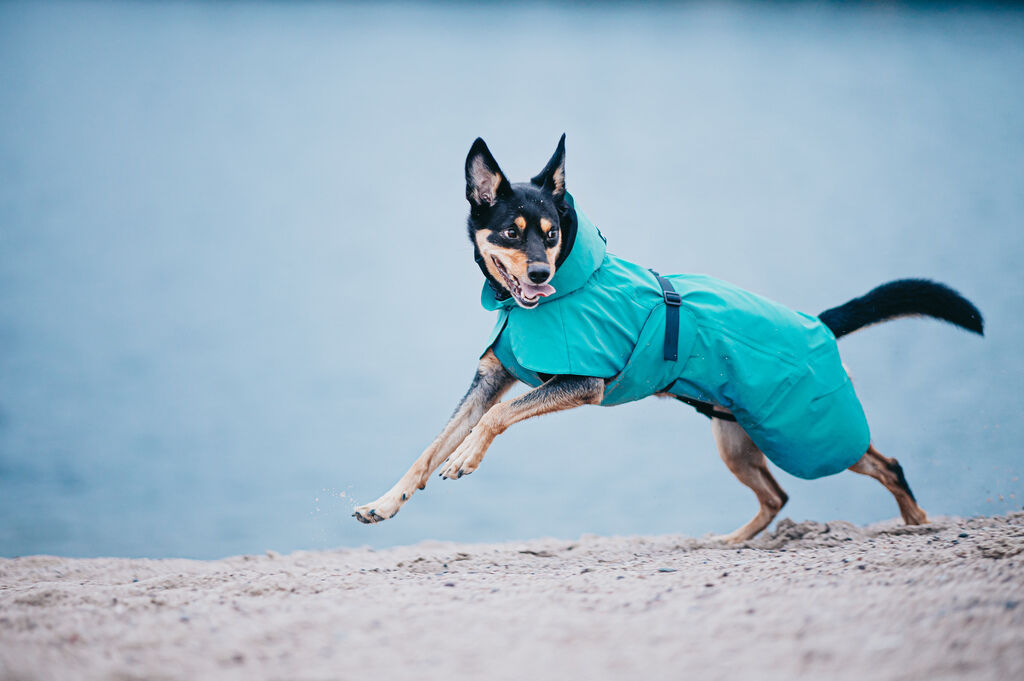 PAIKKA-Regenmantel-reflektierend-Visibility-Raincoat-Emerald-Schlechtewetter-Hundemantel-wasserdicht-60-46367