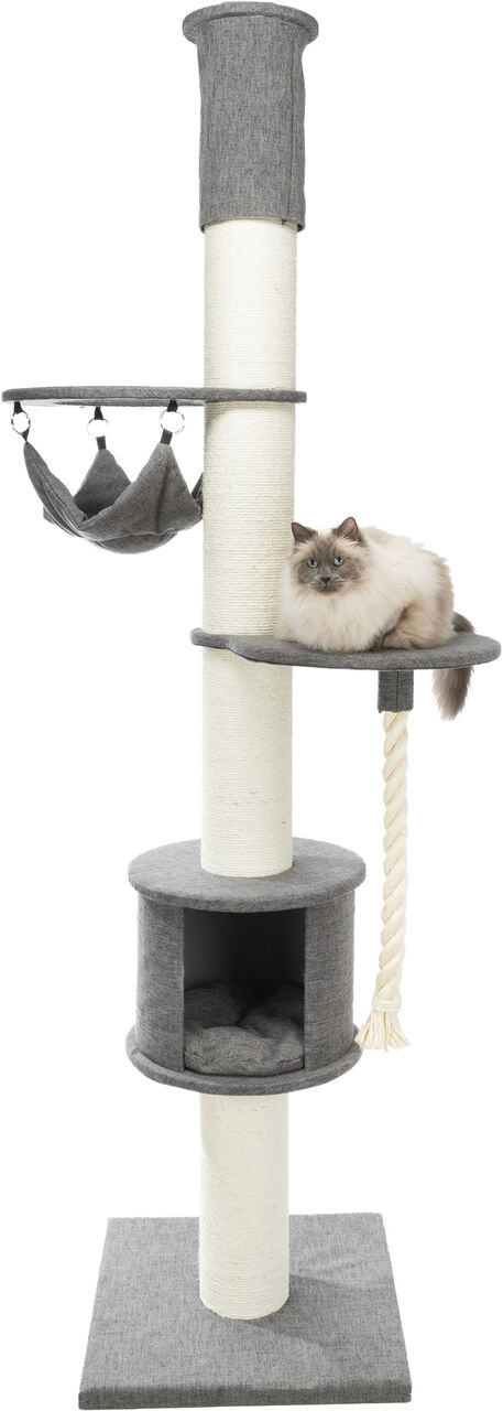 Trixie-Kratzbaum-XXL-Fidele-deckenhoch-fuer-Ragdoll-Katzen-24-44702