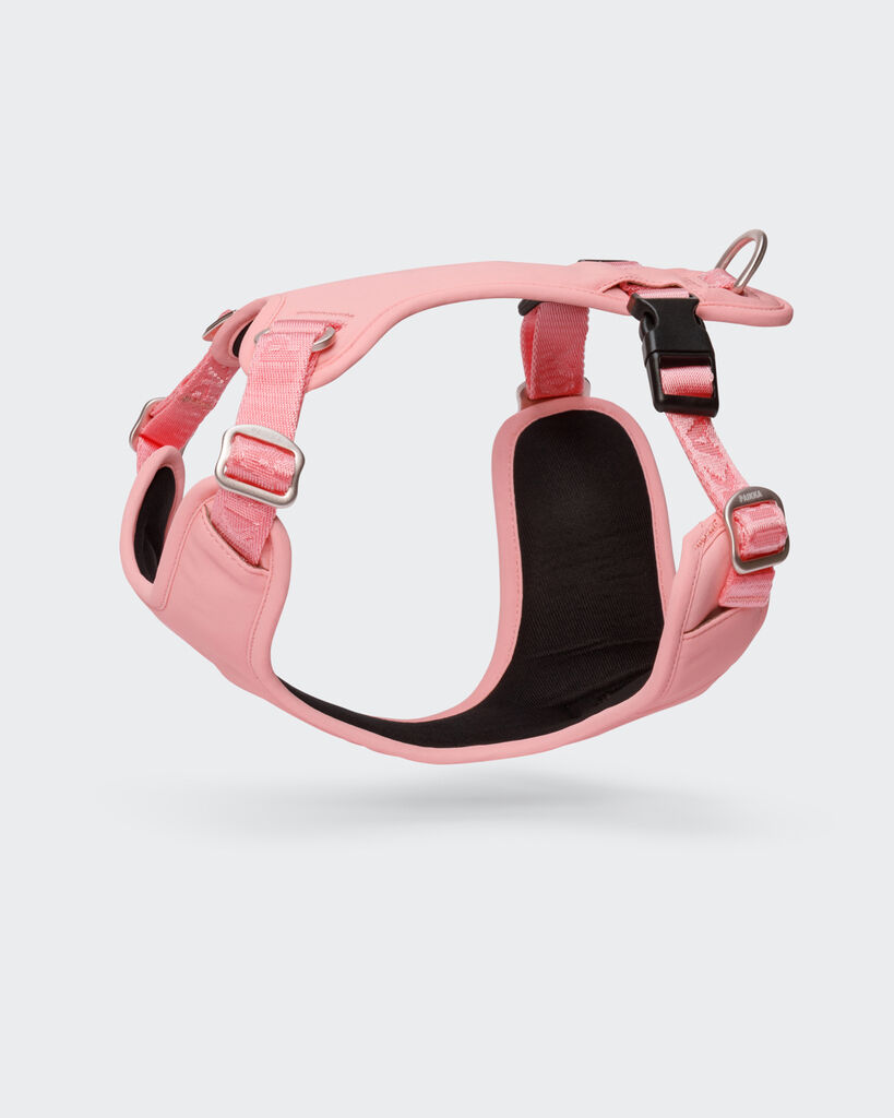 PAIKKA-Hundegeschirr-reflektierend-Visibility-Harness-pink-Hunde-Brustgeschirr-mit-Reflektoren-60-46397