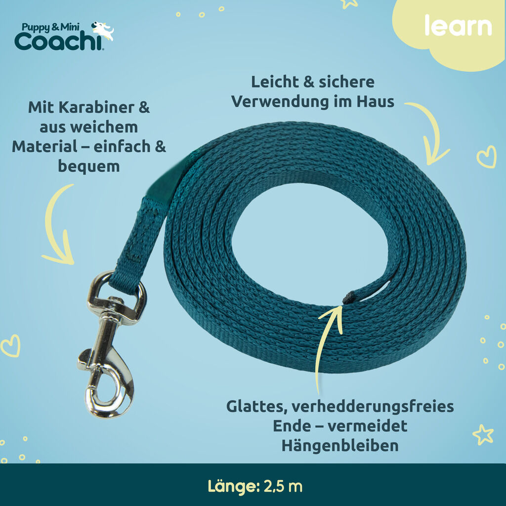 Company-of-Animals-Coachie-Schleppleine-Welpe-Trainingsleine-50-41231