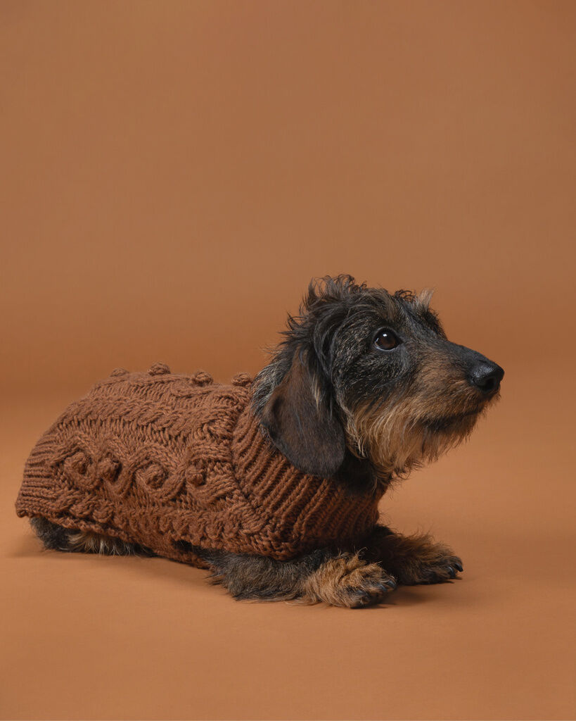 PAIKKA-Strickpullover-Handmade-Knit-Sweater-Camel-Hund-Pullover-gestrickt-60-46788