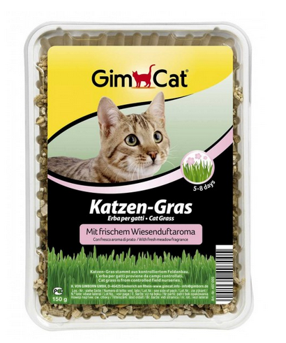 Gimpet-Gimcat-Katzenngras-Wiesenduft-Hydro-Gras-Fuer-Katzen-34-407005