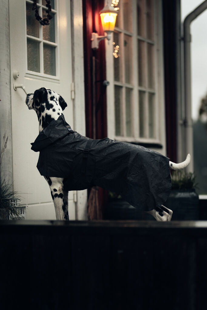 PAIKKA-Regenmantel-reflektierend-Visibility-Raincoat-Dark-Hund-Mantel-Regen-60-46367