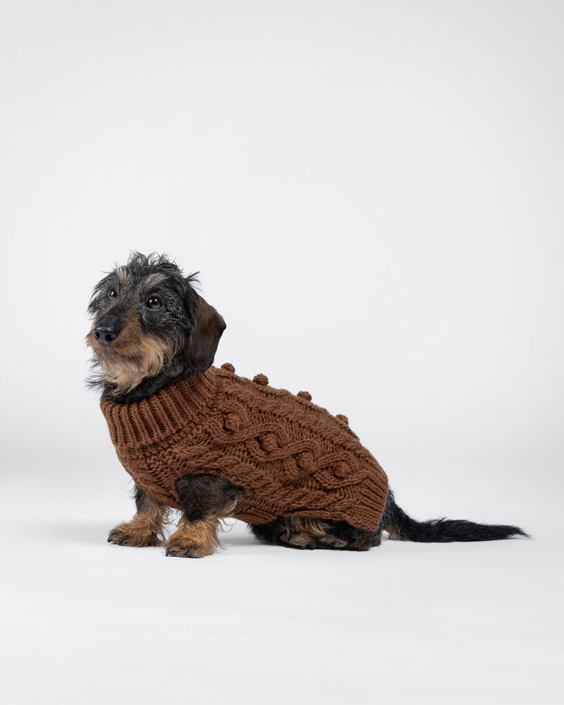 PAIKKA-Strickpullover-Handmade-Knit-Sweater-Camel-warmer-Pullover-fuer-Hunde-60-46788