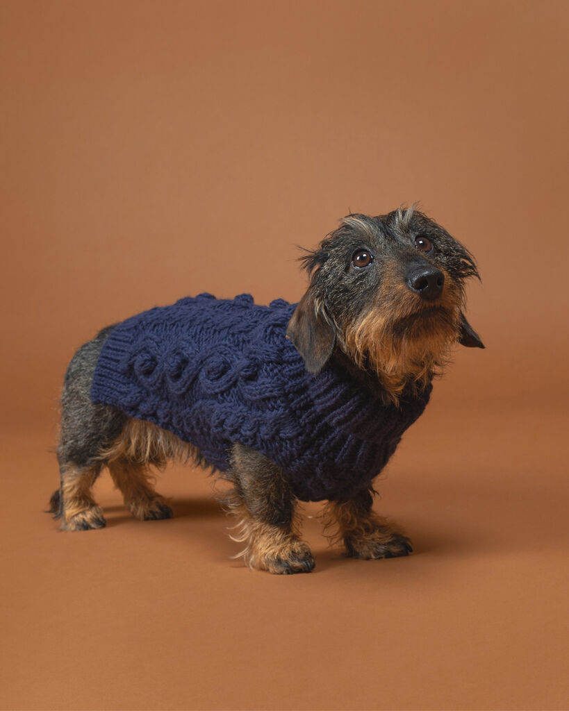 PAIKKA-Strickpullover-Handmade-Knit-Sweater-Navy-Hundepullover-gestrickt-60-46788