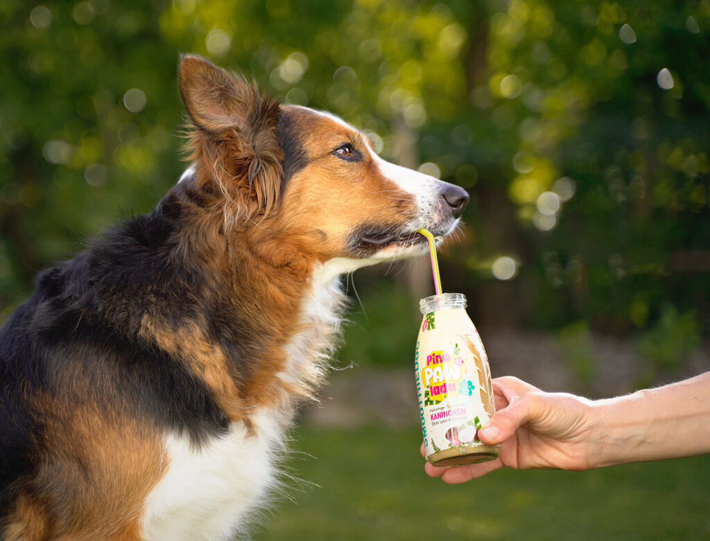 SmoothieDog-Summer-Edition-Fleisch-Gemuese-Suppe-fuer-Hunde-52-10314 SmoothieDog-Summer-Edition-Fleisch-Gemuese-Suppe-fuer-Hunde-52-10314