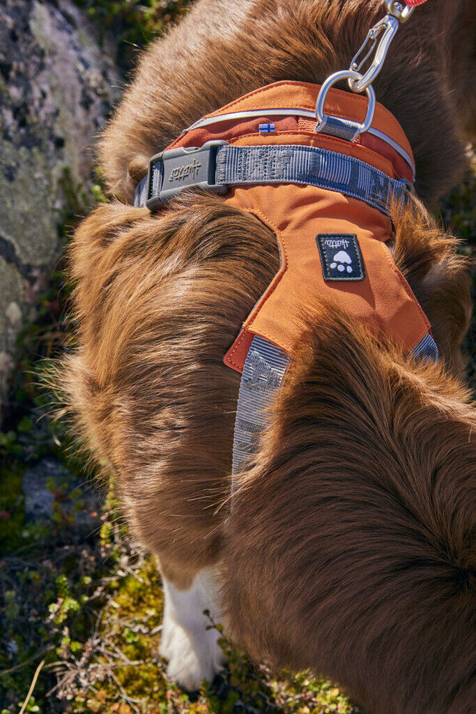 Hurtta-Rover-Harness-Hundegeschirr-Zimt-verstellbar-reflektierend-HU-934848