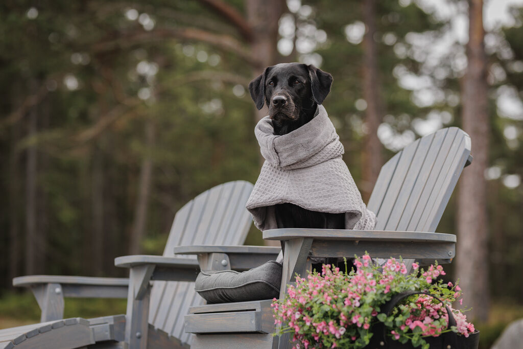 PAIKKA-Drying-Coat-Spa-Bademantel-Grau-Hundemantel-zum-abtrocknen-60-46583