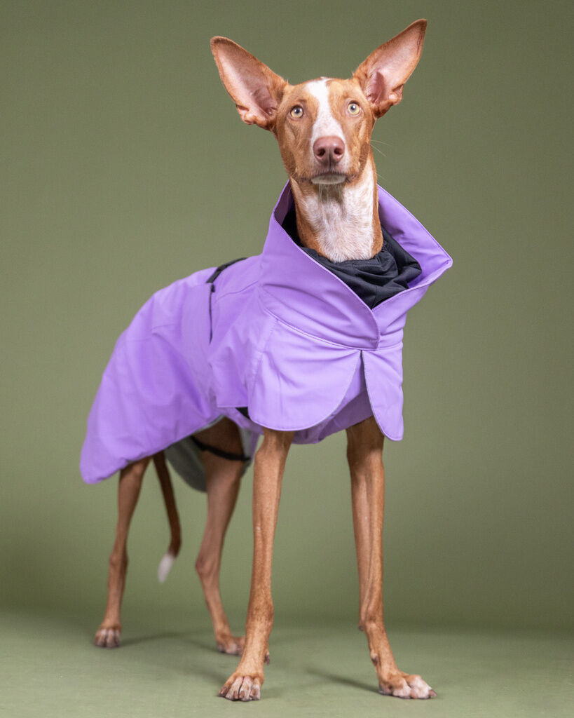 PAIKKA-Visibility-Winter-Jacke-Lila-wasserdichter-Wintermantel-fuer-Hunde-60-46199 PAIKKA-Visibility-Winter-Jacke-Lila-wasserdichter-Wintermantel-fuer-Hunde-60-46199
