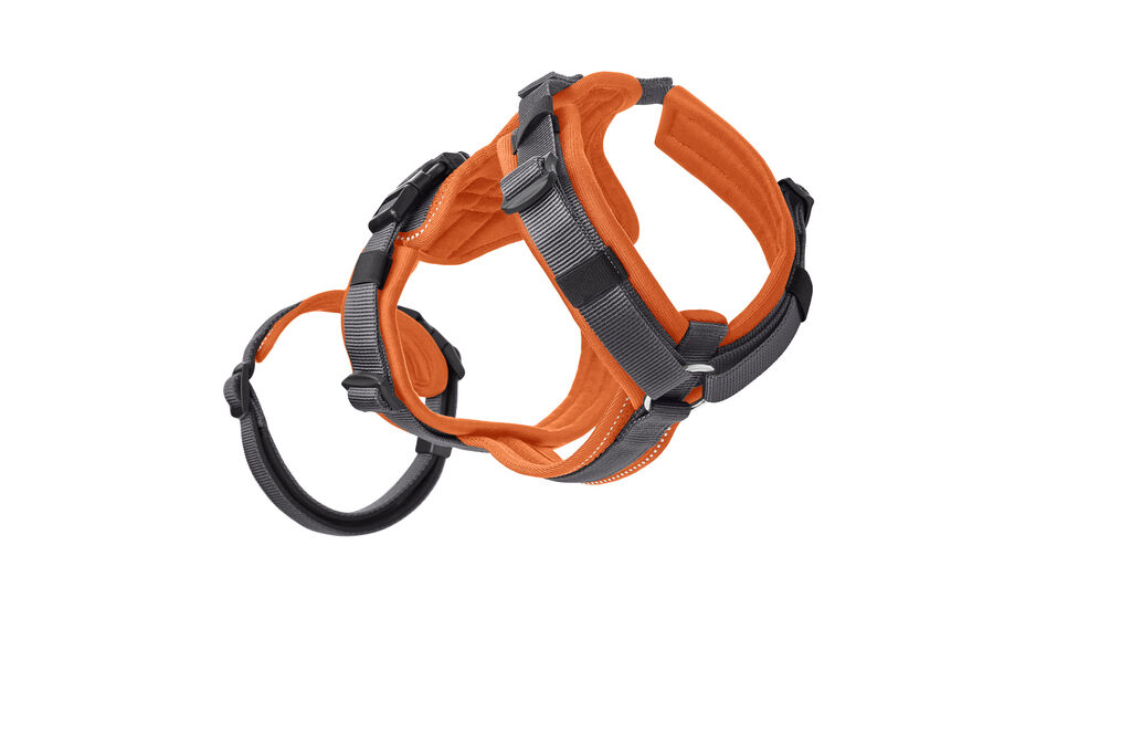 Hunter-Sicherheitsgeschirr-Maldon-orange-grau-Hunde-Panikgeschirr-gepolstert-H-69649 Hunter-Sicherheitsgeschirr-Maldon-orange-grau-Hunde-Panikgeschirr-gepolstert-H-69649