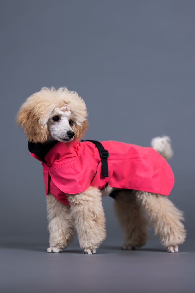 PAIKKA-Regenmantel-leicht-und-reflektierend-Visibility-Raincoat-Lite-Hot-Pink-Pudel-mit-Regenmantel-60-46242