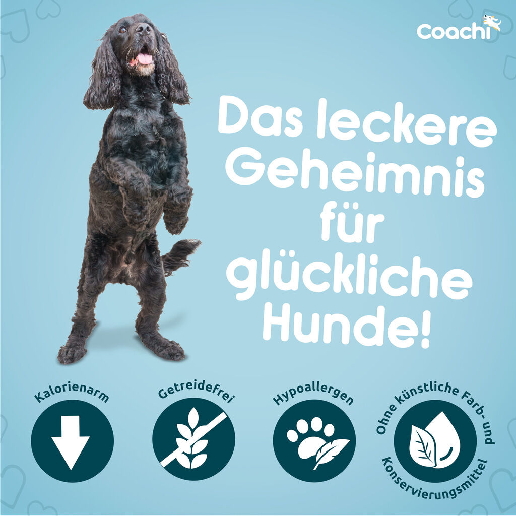 Company-of-Animals-Coachi-Trainingsleckerlis-Hunde-Belohnung-50-54310 Company-of-Animals-Coachi-Trainingsleckerlis-Hunde-Belohnung-50-54310