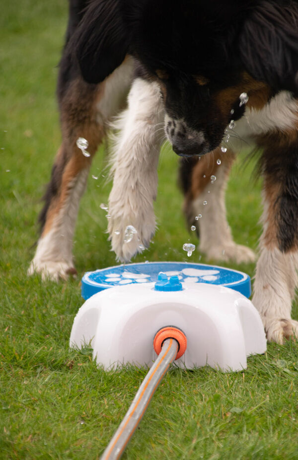 Animals-Care-CoolPets-Splash-Water-Fountain-trinkbrunnen-hund-ohne-strom-28-59285
