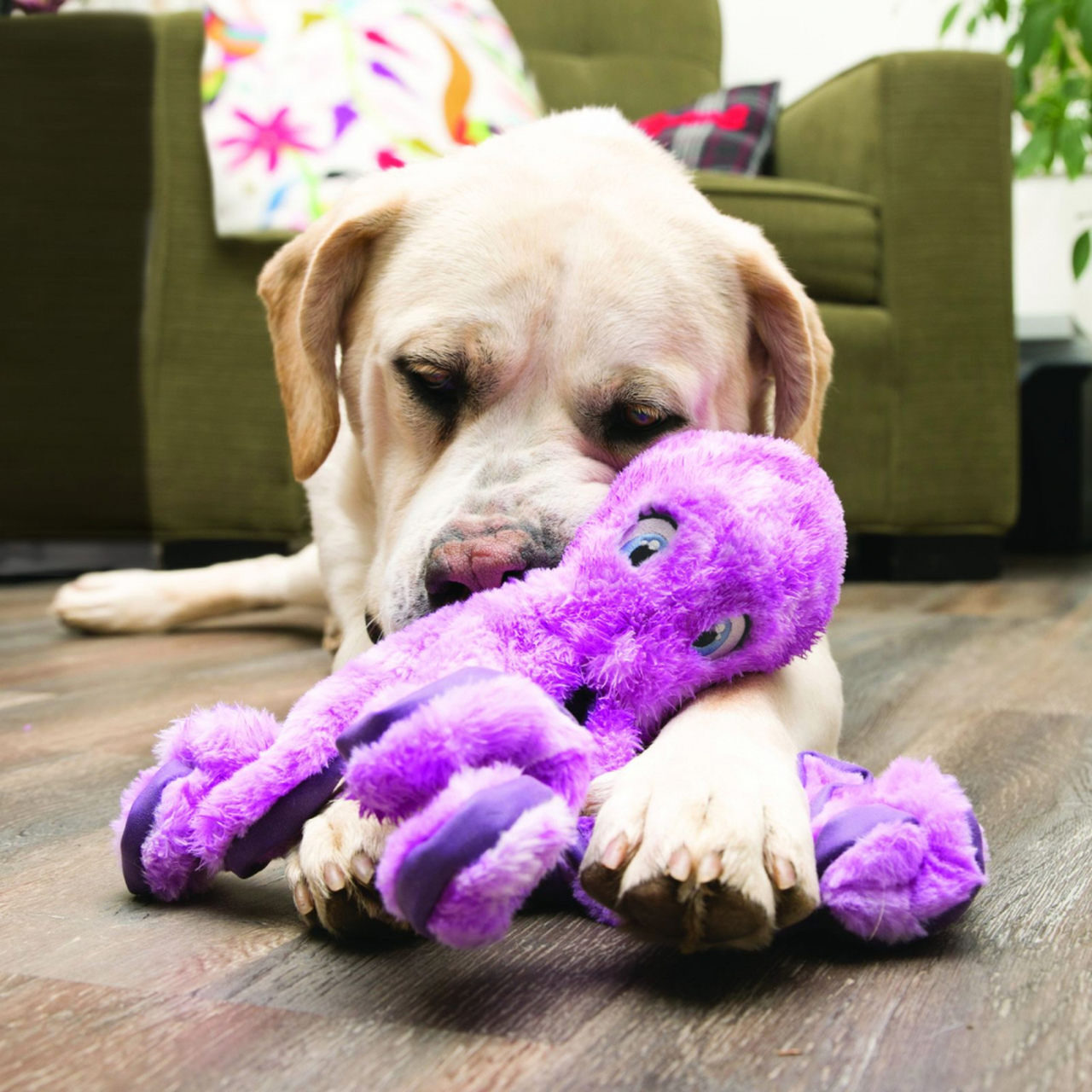KONG-SoftSeas-Plueschtier-Apportierspiele-Hunde-Stofftier-56-36095 KONG-SoftSeas-Plueschtier-Apportierspiele-Hunde-Stofftier-56-36095