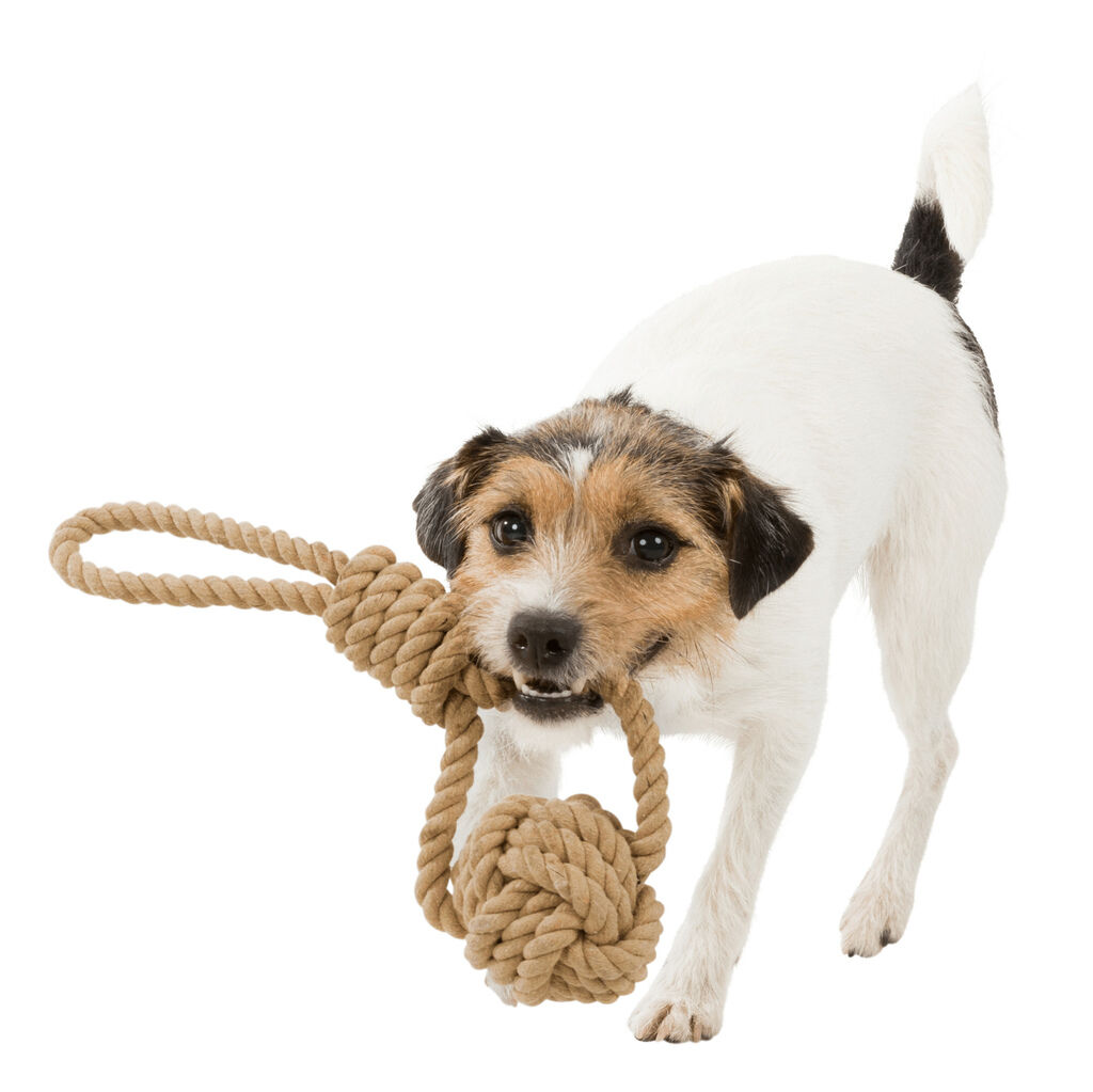 Trixie-Be-Nordic-Knoten-Ball-am-Tau-Zerrspielzeug-fuer-Hunde-24-32632 Trixie-Be-Nordic-Knoten-Ball-am-Tau-Zerrspielzeug-fuer-Hunde-24-32632