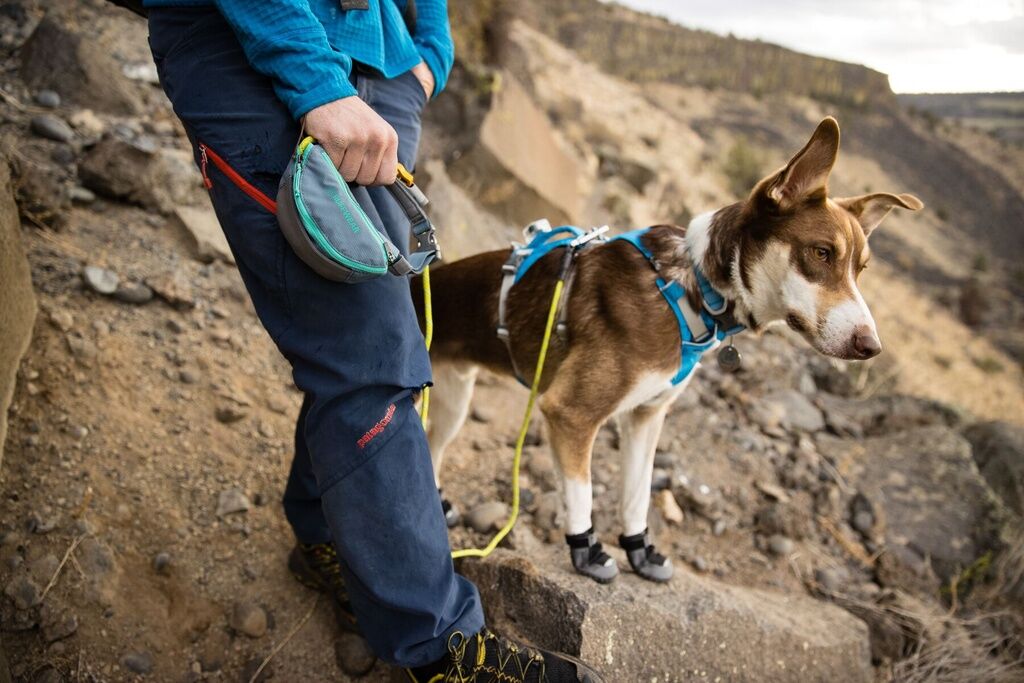 RUFFWEAR-Mobiles-Leinen-System-Hitch-Hiker-Laufguertel-Joggingleine-Hund-Slate-Blue-RU-45174