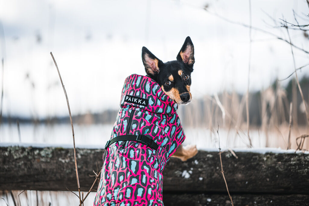 PAIKKA-Visibility-Winter-Jacke-Jungle-Pink-wasserfester-warmer-Hundemantel-60-46199