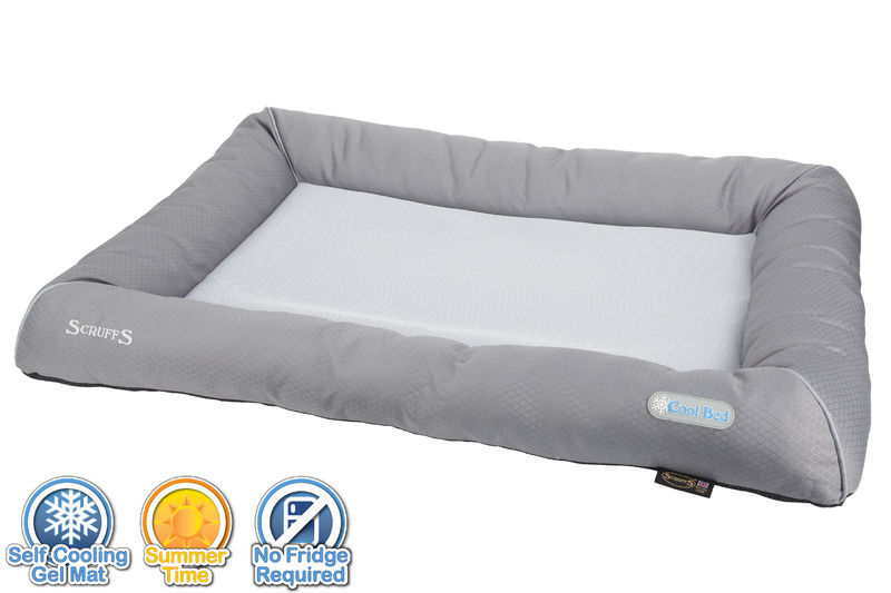 Large-Cool-Bed-with-Logo-small Large-Cool-Bed-with-Logo-small