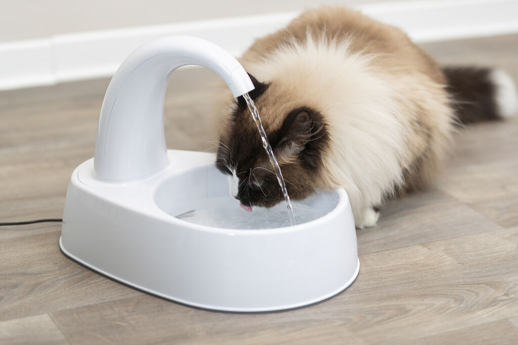 Trixie-Trinkbrunnen-Curved-Stream-Hund-Katze-Springbrunnen-24-24444