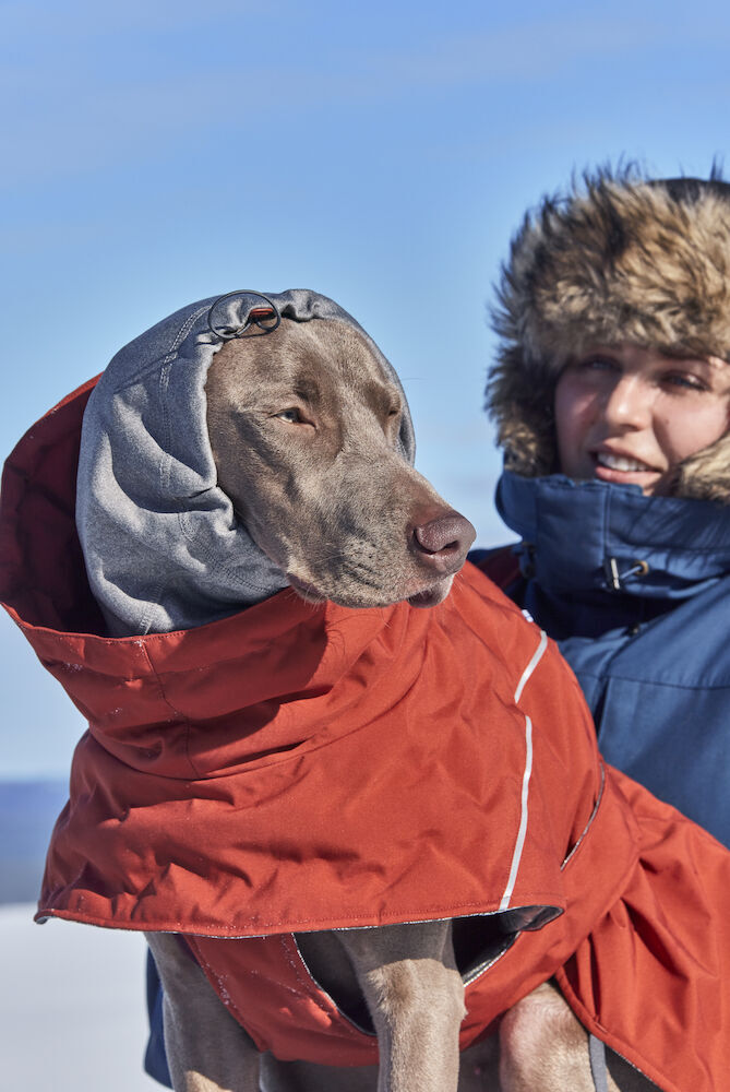 Hurtta-Extreme-Warmer-III-ECO-cinnamon-zimt-Wintermantel-waermende-Wattierung-wasserdicht-hoher-Kragen-als-Kapuze-ueber-die-Ohren-getragen-nachhaltig-HU-934609