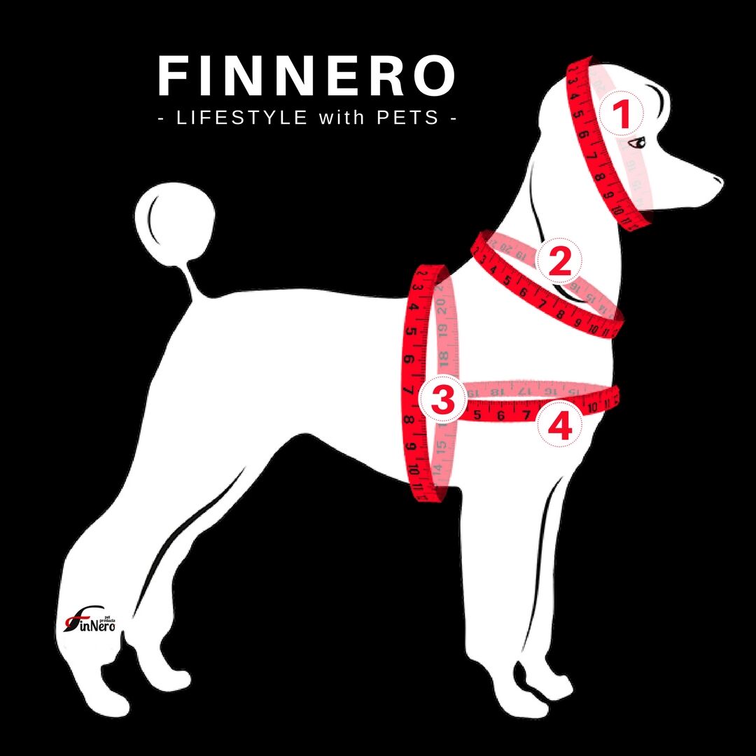 FinNero-SNOW-SPORT-Norweger-Hunde-Geschirr-fuer-empfindsame-Hunde-44-00055