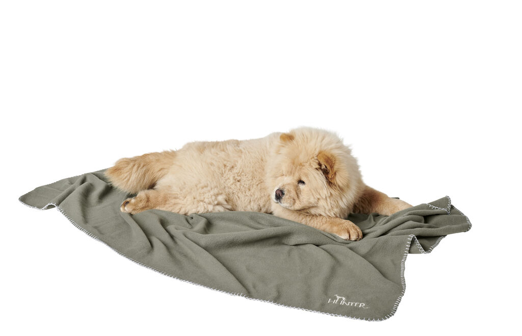 Hunter-Hundedecke-Casper-gruen-platzsparende-Fleecedecke-Hunde-H-67705